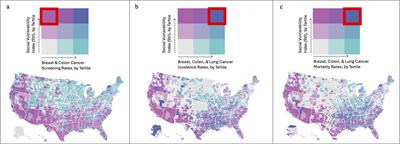 Association of US county-level social vulnerability index with breast, colorectal, and lung cancer screening, incidence, and mortality rates across US counties